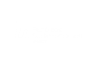 petroleos sudamericanos