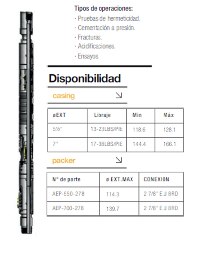 Tapon-packer